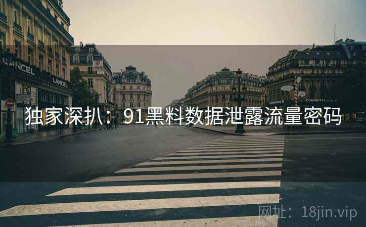 独家深扒：91黑料数据泄露流量密码