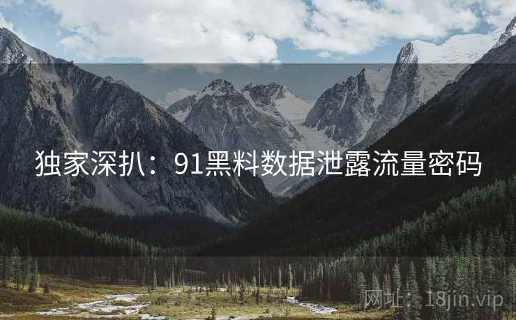 独家深扒：91黑料数据泄露流量密码