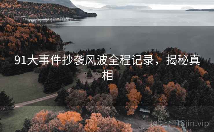 91大事件抄袭风波全程记录，揭秘真相