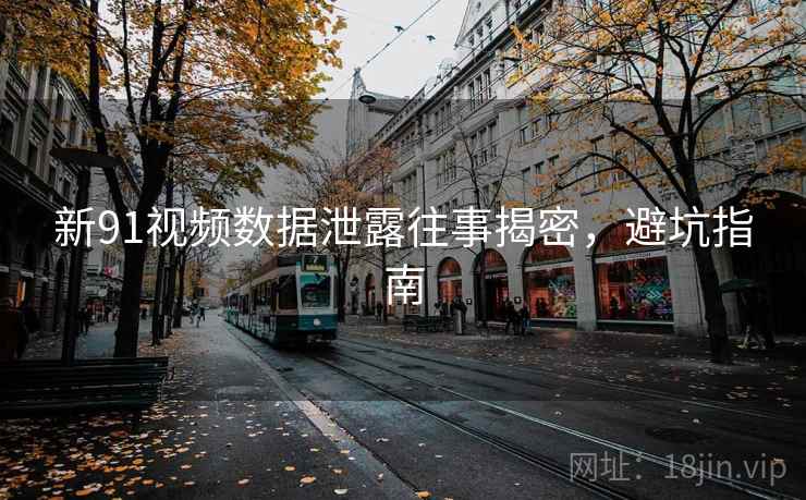 新91视频数据泄露往事揭密，避坑指南