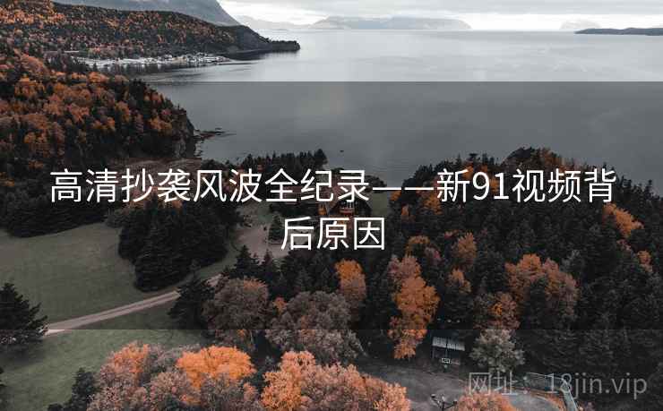 高清抄袭风波全纪录——新91视频背后原因