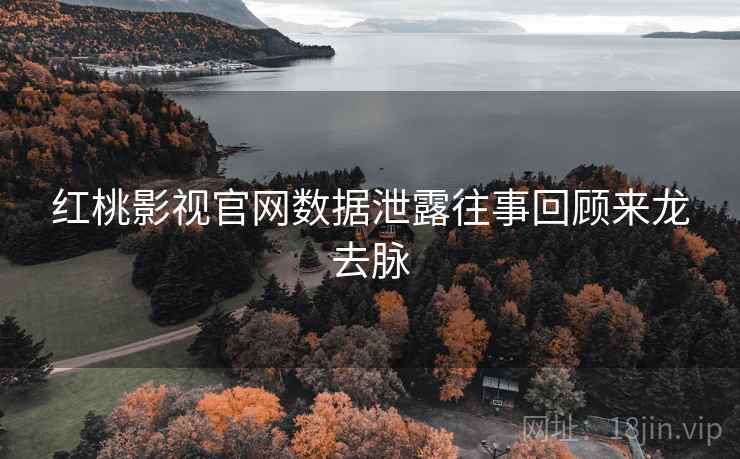红桃影视官网数据泄露往事回顾来龙去脉