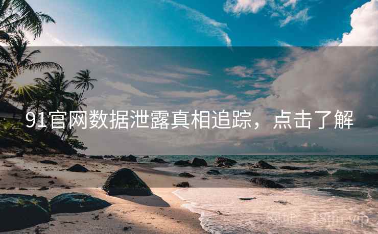 91官网数据泄露真相追踪，点击了解