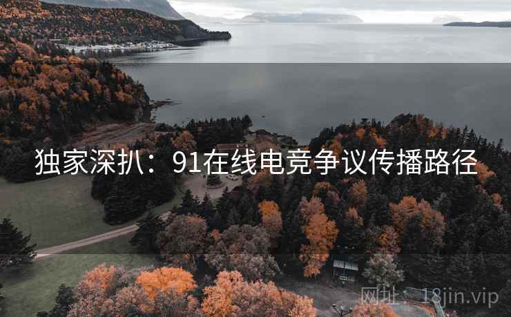 独家深扒：91在线电竞争议传播路径