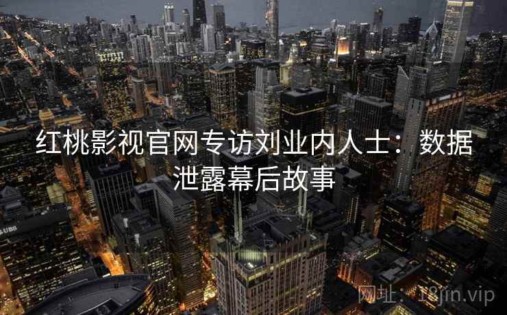 红桃影视官网专访刘业内人士:数据泄露幕后故事