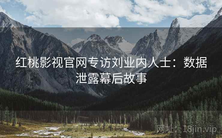 红桃影视官网专访刘业内人士：数据泄露幕后故事