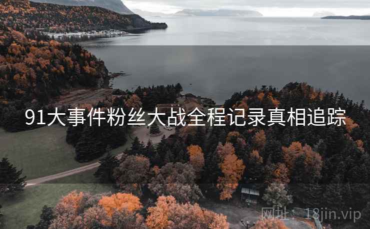91大事件粉丝大战全程记录真相追踪
