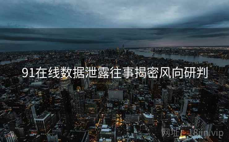 91在线数据泄露往事揭密风向研判