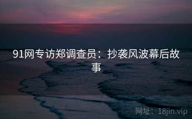 91网专访郑调查员：抄袭风波幕后故事